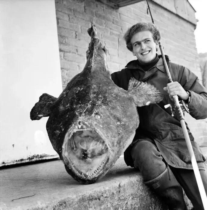 Framed Print : Sport: Fishing: Turkey farmer Tim Clark (22) pictured with the 58lb 50z Angler fish that Framed Print : Sport: Fishing: Turkey farmer Tim Clark (22) pictured with the 58lb 50z Angler fish that