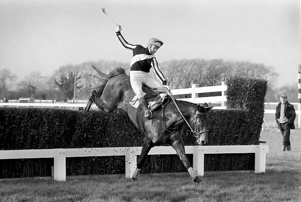 Sport: Horseracing. Racing at Windsor 'Even Up'. January 1975 75-00284