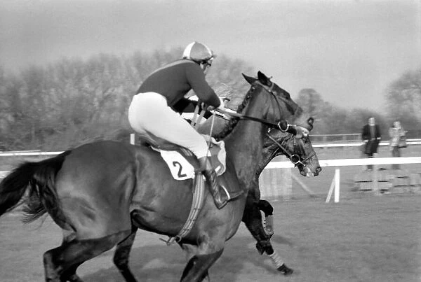 Sport: Horseracing. Racing at Windsor 'Even Up'. January 1975 75-00284-001