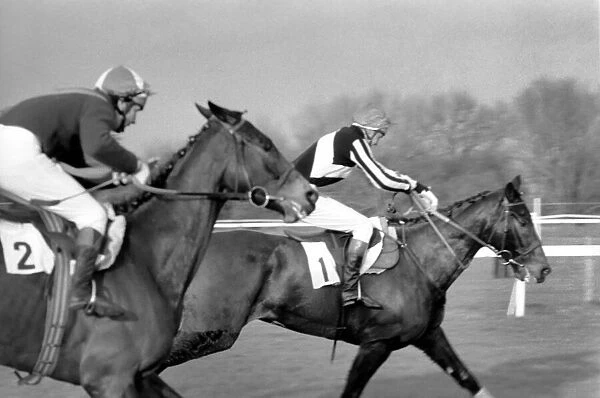 Sport: Horseracing. Racing at Windsor 'Even Up'. January 1975 75-00284-004