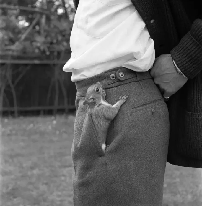Framed Print : Is that a squirrel in your pocket or are you just happy to see me. June 1960 M4257 Framed Print : Is that a squirrel in your pocket or are you just happy to see me. June 1960 M4257