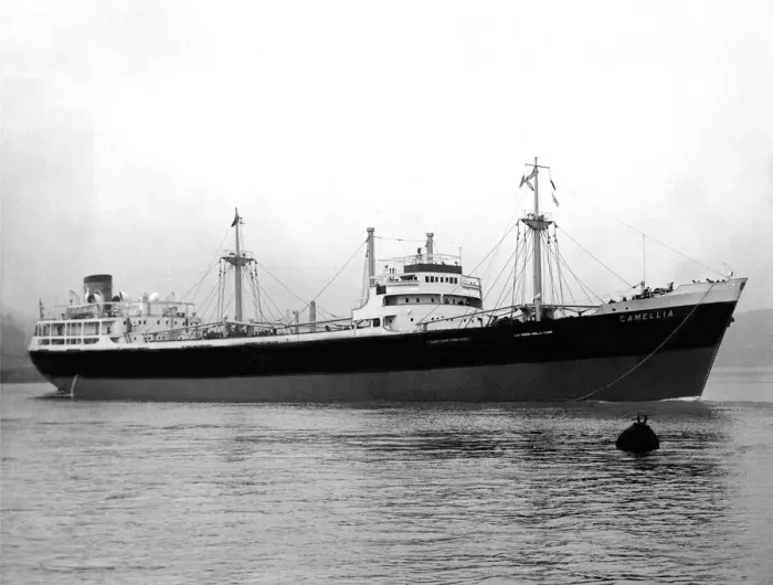 Framed Print : The SS Camellia in 1953 Framed Print : The SS Camellia in 1953