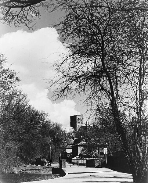 St. Albans scene Cathedral seen through trees March 1952