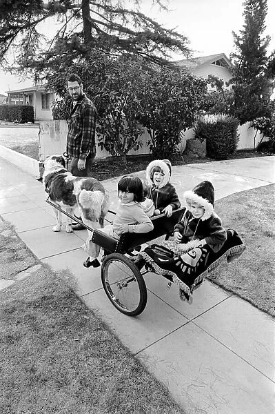 St. Bernards dog cart. January 1975 75-00282