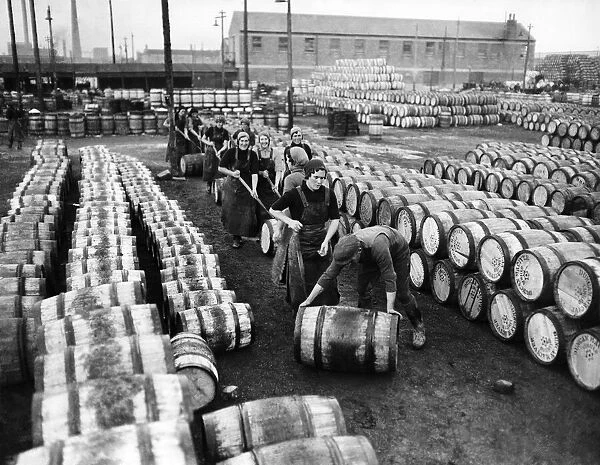 Stacking barrels of herrings in the filling yards at Yarmouth, Norfolk