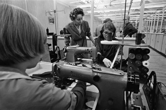 Framed Print : Staff at work at Burton the Tailors, Leeds. Mrs Mary Kirby teaches Sylvia James, 15 Framed Print : Staff at work at Burton the Tailors, Leeds. Mrs Mary Kirby teaches Sylvia James, 15
