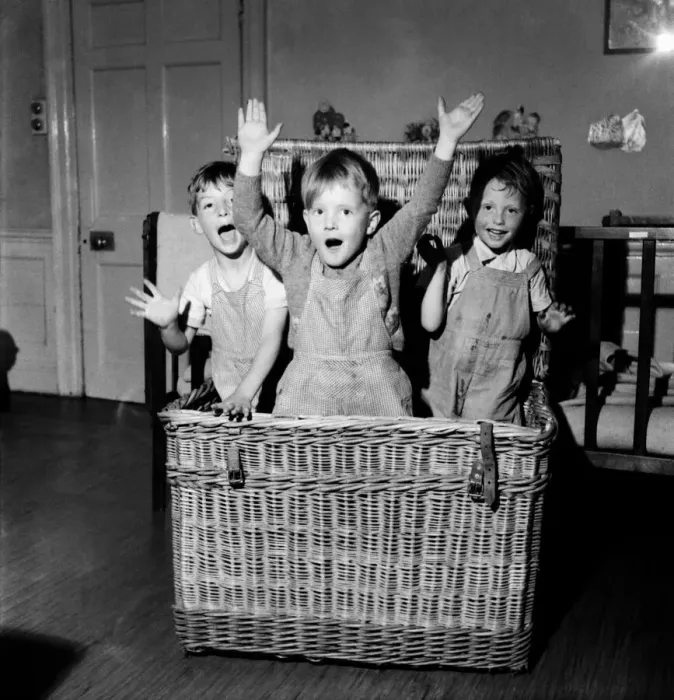 Framed Print : The three stages of a surprise. Creeping into the basket : The closing of the lid Framed Print : The three stages of a surprise. Creeping into the basket : The closing of the lid