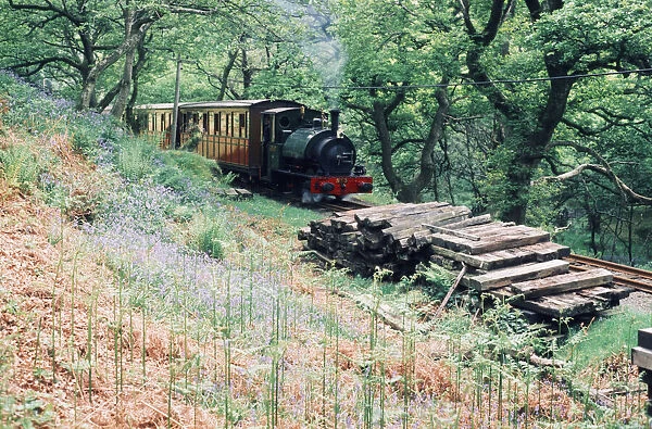 Steam train on the Talyllyn railway line which runs for 7