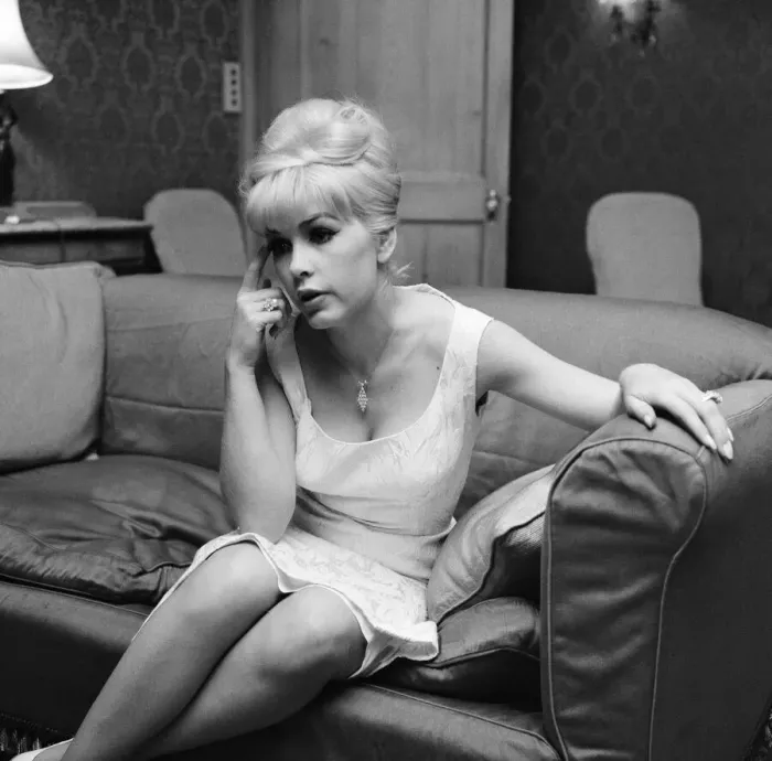 Framed Print : Stella Stevens, American film, television, and stage actress, pictured in hotel suite Framed Print : Stella Stevens, American film, television, and stage actress, pictured in hotel suite