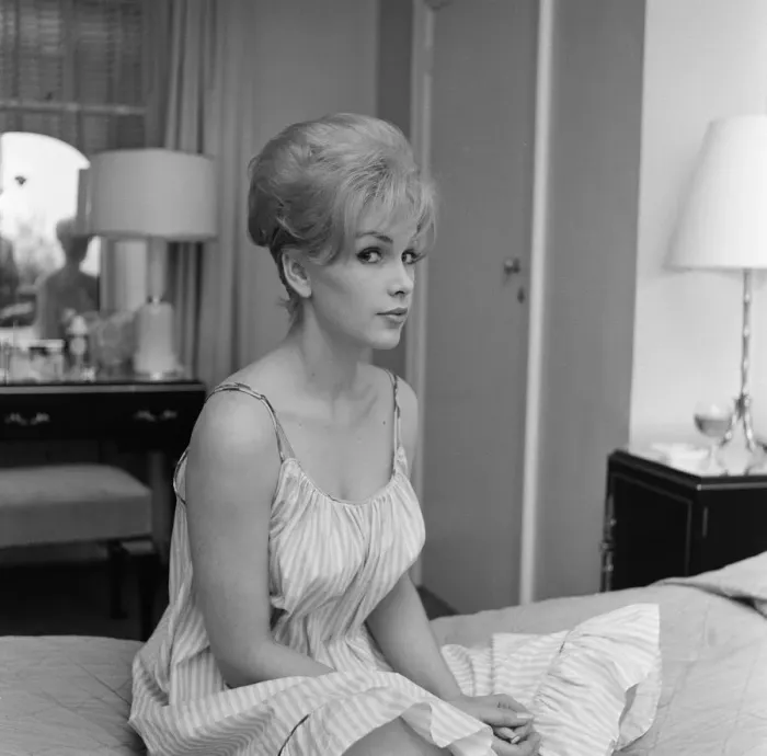 Framed Print : Stella Stevens, American film, television, and stage actress, pictured in her hotel suite Framed Print : Stella Stevens, American film, television, and stage actress, pictured in her hotel suite