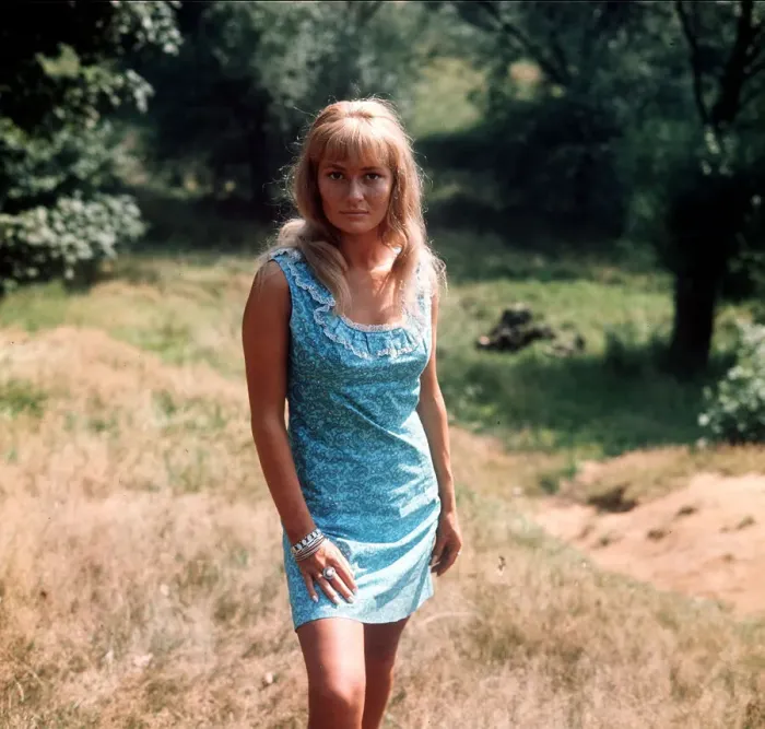 Framed Print : Stephanie Beacham August 1968 Actress poses for photographes in field Framed Print : Stephanie Beacham August 1968 Actress poses for photographes in field