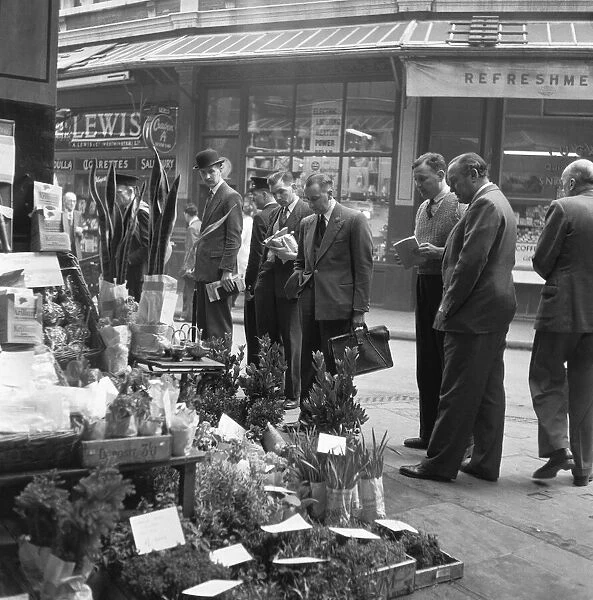 Stockbroker messengers and clerks look at shrubs in one of the seed shops in Leadenhall