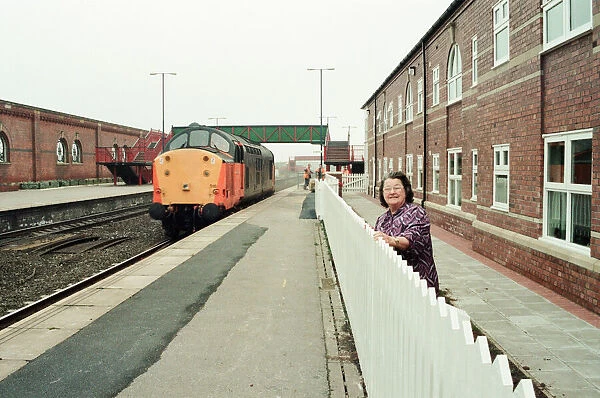 Stockton Railway Station, 1st December 1994. Watching the trains to go by, Joan Taylor