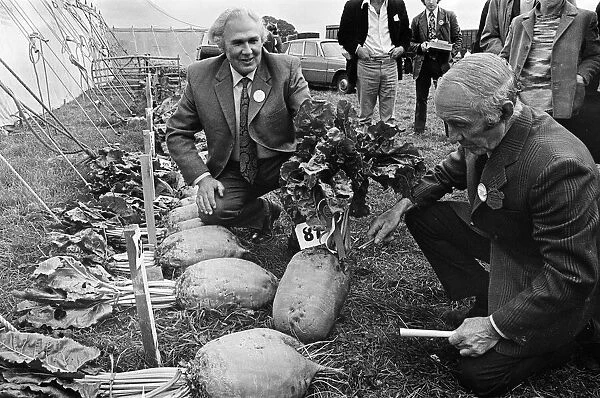 Stokesley show, men looking at vegetables 1973