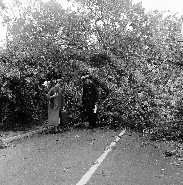 Storm damage near the south coast on the main road from London a mile past Pullborough