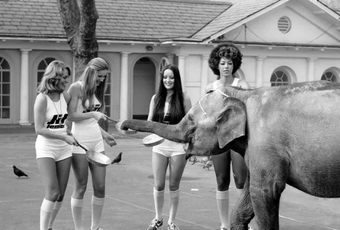 Framed Print : Strange tales of London. Beauty Queens (who will be in the pancake race on Tuesday