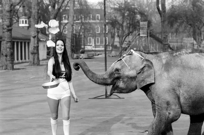 Framed Print : Strange tales of London. Beauty Queens (who will be in the pancake race on Tuesday Framed Print : Strange tales of London. Beauty Queens (who will be in the pancake race on Tuesday