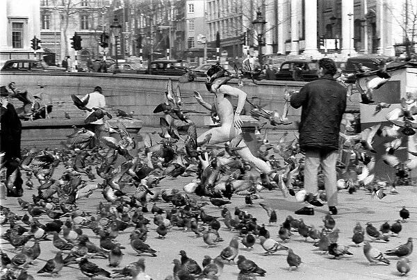 The Streaker March 1974, among the pigeon at Trafalgar Square