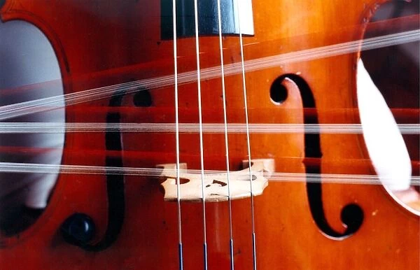 The strings and bow of a cello