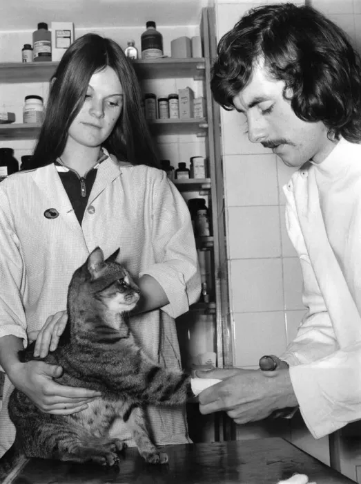 Framed Print : Student veterinary nurse Caroline Smith, 16, who is under training with veterinary Framed Print : Student veterinary nurse Caroline Smith, 16, who is under training with veterinary