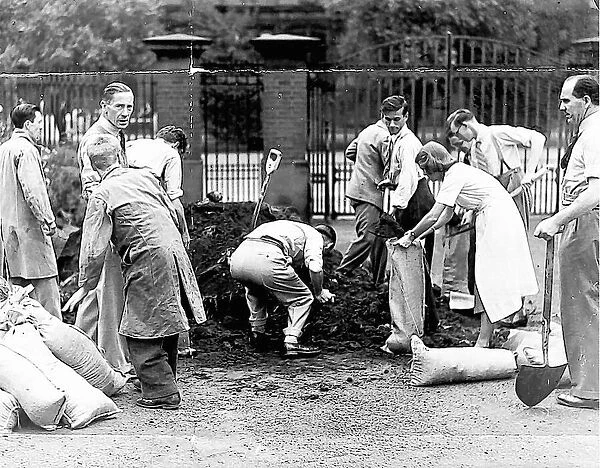 Students are employed to fill bags with soil to protect Newcastle Dental Hospital in case