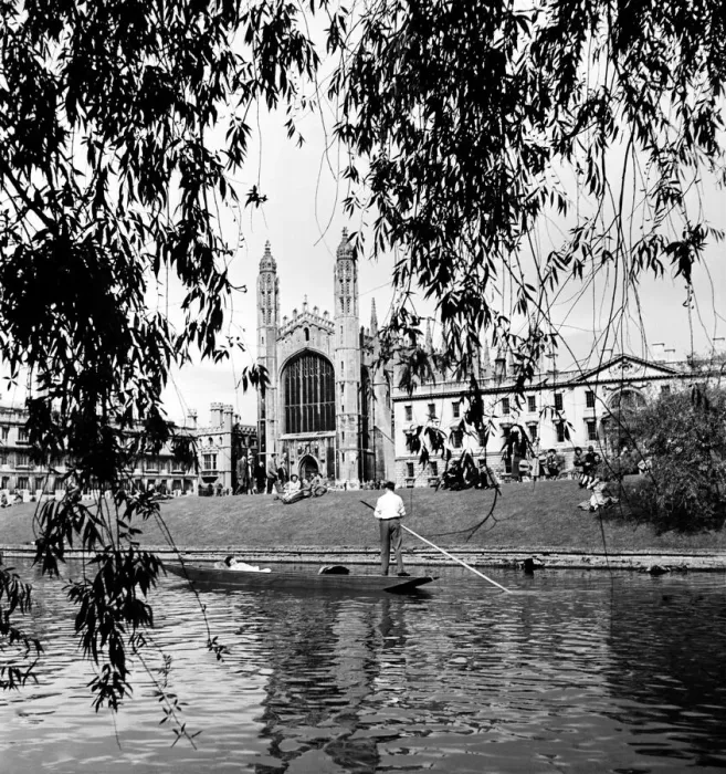 Framed Print : Students punt along the The Backs, on the Cam River, Cambridge Framed Print : Students punt along the The Backs, on the Cam River, Cambridge