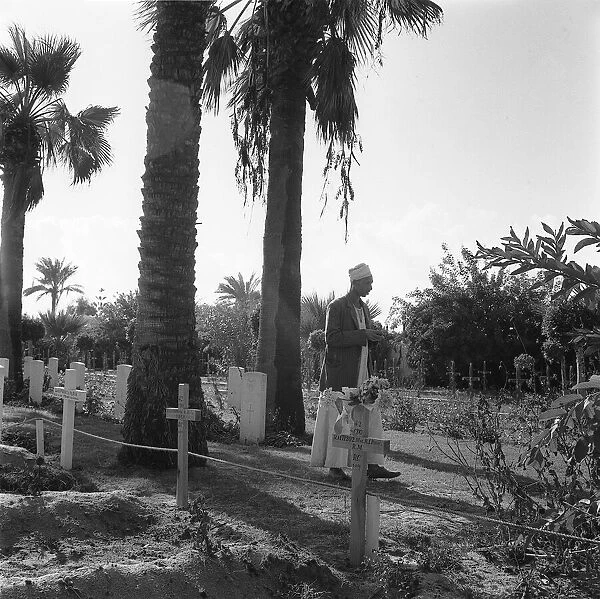 Suez Crisis 1956 The British Cemetry in Port Said showing graves of British