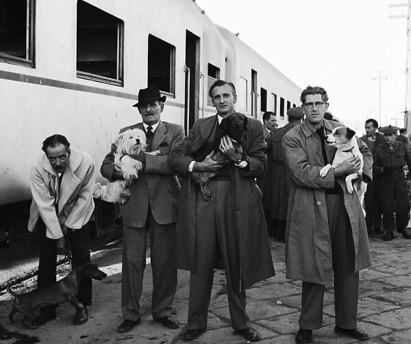 Suez Crisis 1956 British evacuees with their dogs at Port Said wait to board