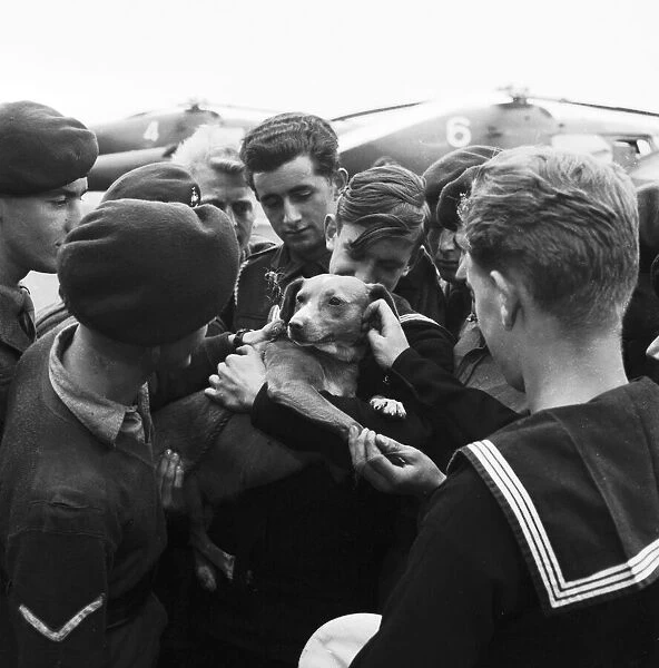 Suez Crisis 1956 Commandos on the flight deck of the Aircraft Carrier HMS Ocean