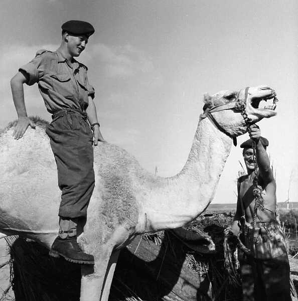 Suez Crisis 1956 Gunner William Graham, a gunner from a Paratroop Artillery Unit