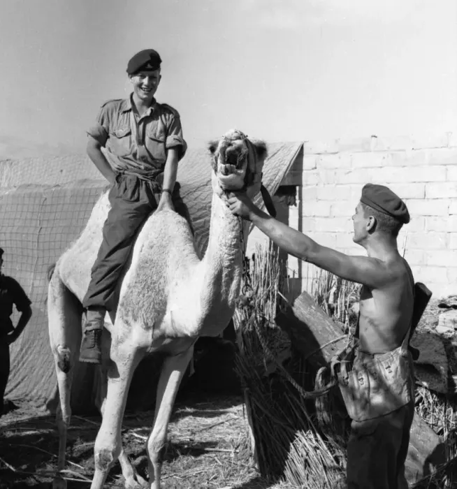 Framed Print : Suez Crisis 1956 Gunner William Graham of a Paratroop Artillery Unit near the front