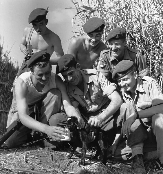 Suez Crisis 1956 Gunners from a Parachute Artillery Unit stationed near the front