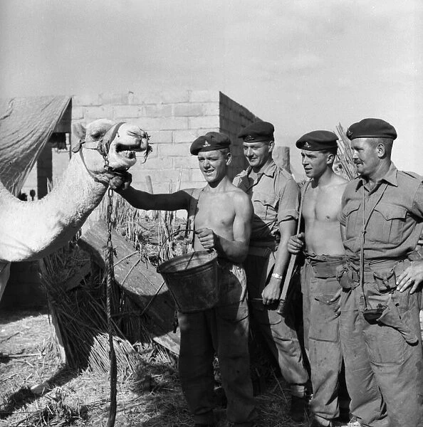 Suez Crisis 1956 Gunners of a Paratroop Artillery Unit near the front line at El