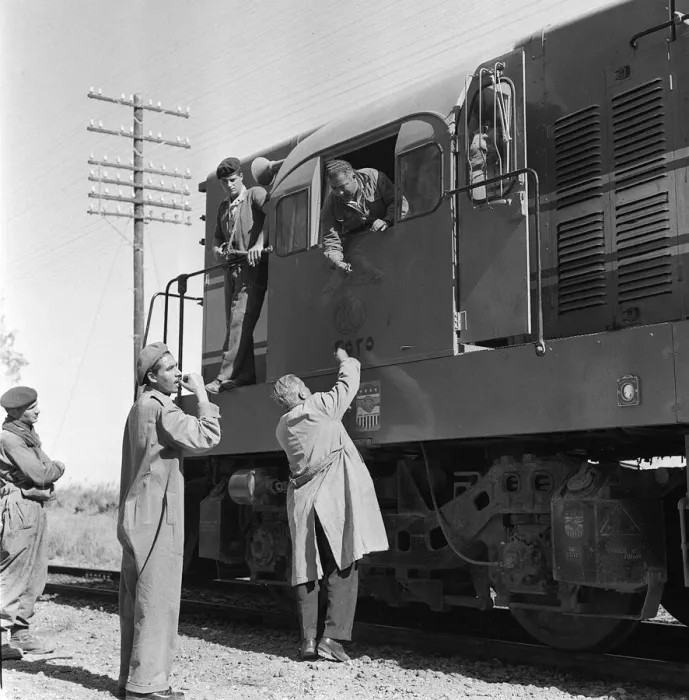 Framed Print : Suez Crisis 1956 A hospital train being taken through the Allied front line to Framed Print : Suez Crisis 1956 A hospital train being taken through the Allied front line to