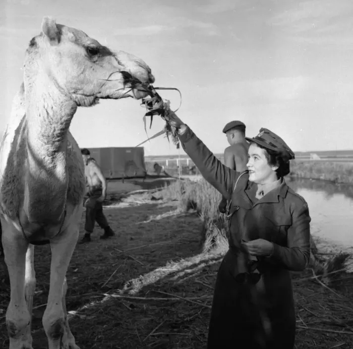 Framed Print : Suez Crisis 1956 Lieutenant Rita Kelly makes friends with a local at El Tina Framed Print : Suez Crisis 1956 Lieutenant Rita Kelly makes friends with a local at El Tina