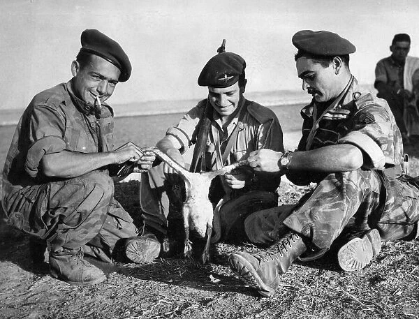 The Suez crisis - Roast duck for dinner in the front-line