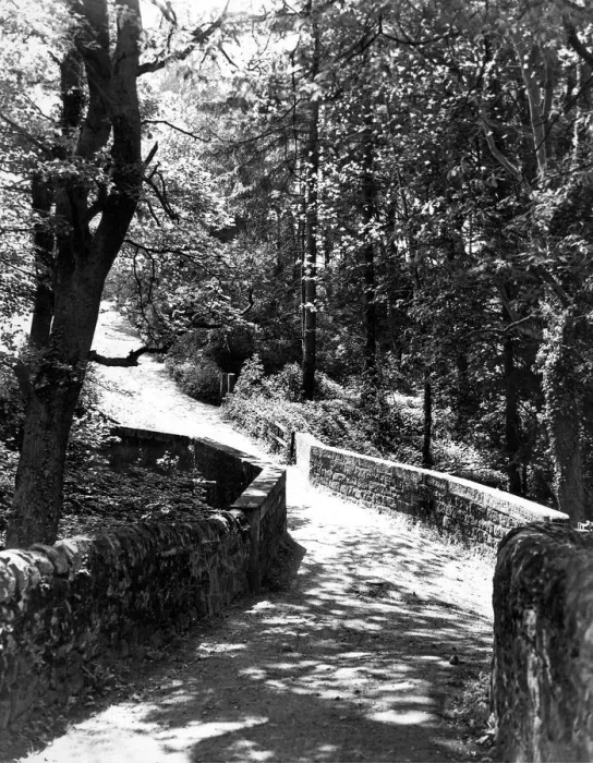 Framed Print : The sun shining through the trees gives an added appeal to this path from Acomb to St Framed Print : The sun shining through the trees gives an added appeal to this path from Acomb to St