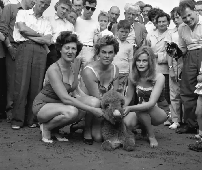 Framed Print : Sunday Pictorial Beach Beauty Contest held at Prestatyn on the sands opposite the Royal