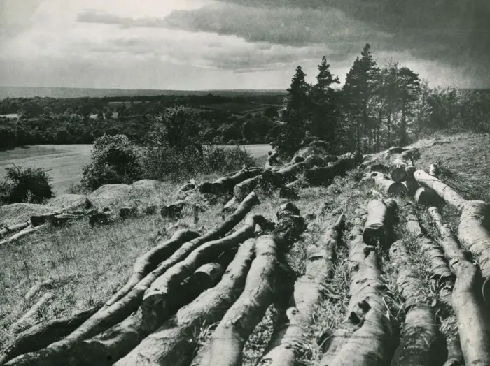 Framed Print : Surrey Countryside near Godalming Country Scene Fallen trees Circa Framed Print : Surrey Countryside near Godalming Country Scene Fallen trees Circa