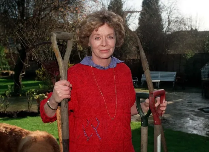 Framed Print : Susannah York actress in garden Feb 90 holding garden tools A©Mirrorpix