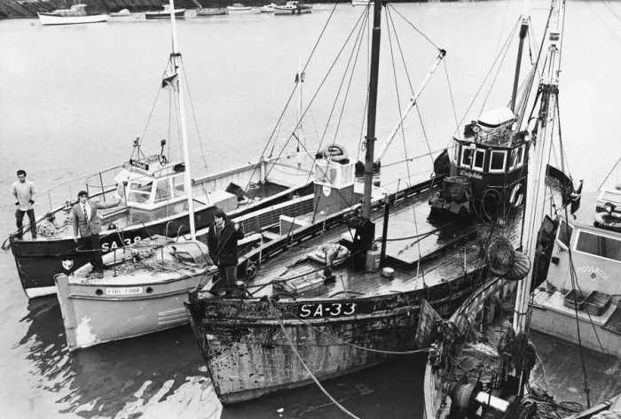 Framed Print : Swanseas highly professional group of charter-boat skippers are in danger of losing