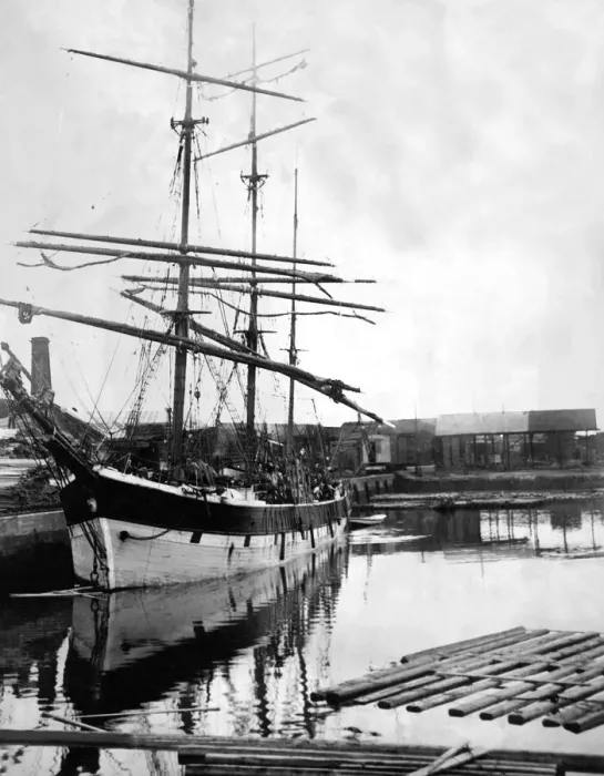 Framed Print : The Swedish Barque sailing ship Rolf at Sunderland unloading timber