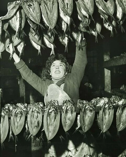 Taking the kippers out of the brine and hanging them on the bualks to allow the salt to