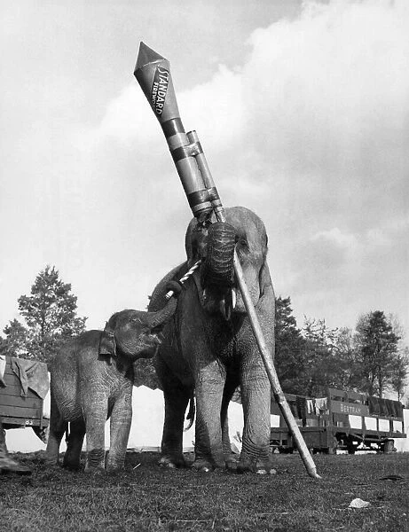 Tamu, a twelve months old female baby elephant at the circus attempts to light the rocket
