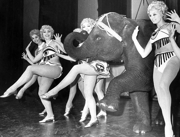 Tanya the performing elephant steps out with the girls during rehearsals of a dance