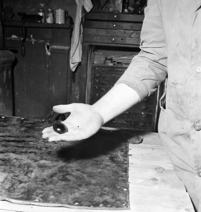 Framed Print : Taxidermist Workshop. January 1960 A715-019 Framed Print : Taxidermist Workshop. January 1960 A715-019