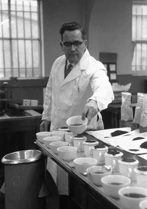 Framed Print : The tea taster at work. A sip, a quick taste and Mr Edward Pedvin, of Hollywood Framed Print : The tea taster at work. A sip, a quick taste and Mr Edward Pedvin, of Hollywood