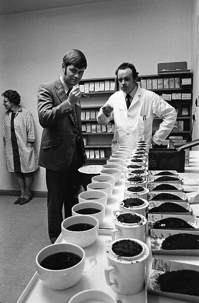 Tea tasters at Tetley s, Teesside. 1972