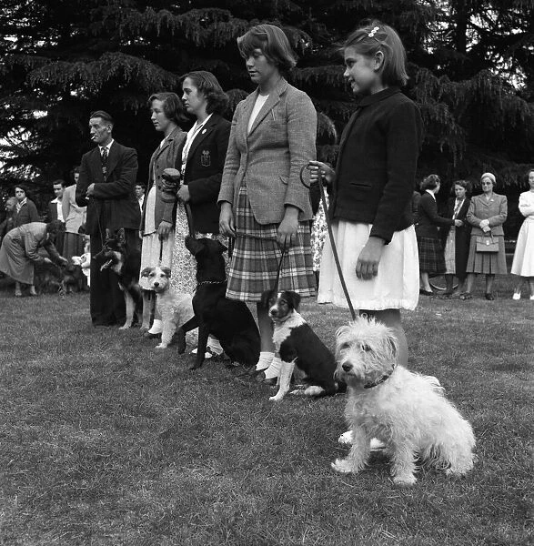 Teaching dogs obedience in Cassiobury Park, Watford, Mrs Barbara Woodhouse (not pictured)