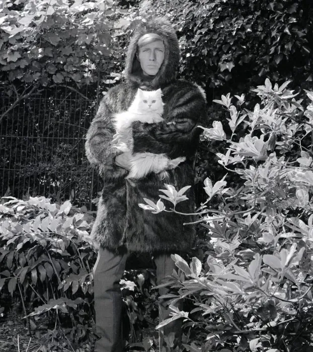 Framed Print : Ted Dawson modelling a fake fur coat with a hood for men while holding a white furry cat